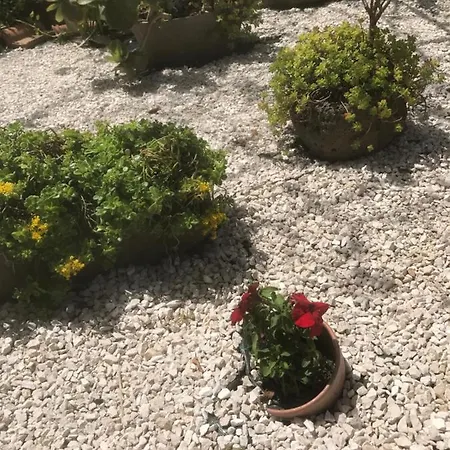 Casa Anastasia *